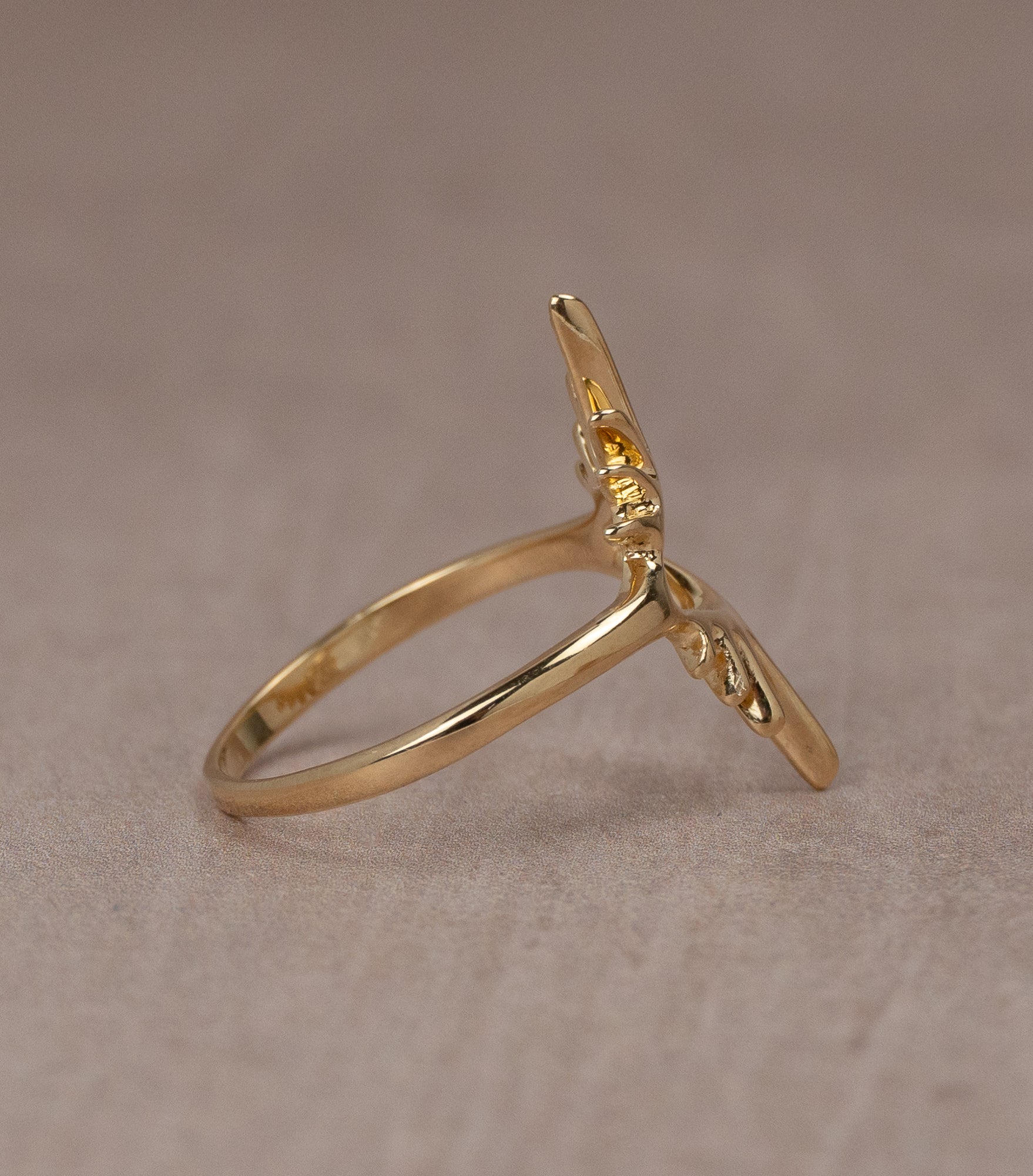 Sun Visions Ring