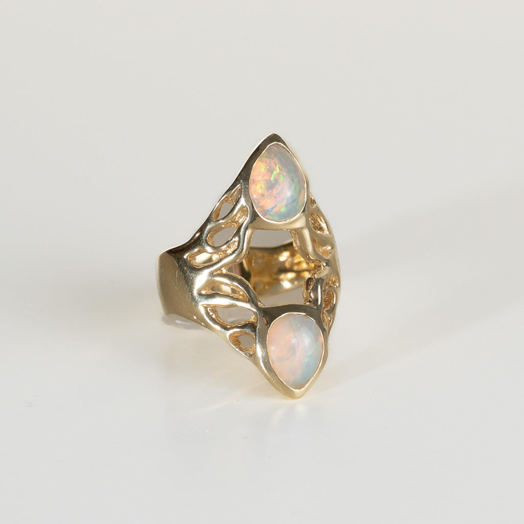 Double Vision Ring