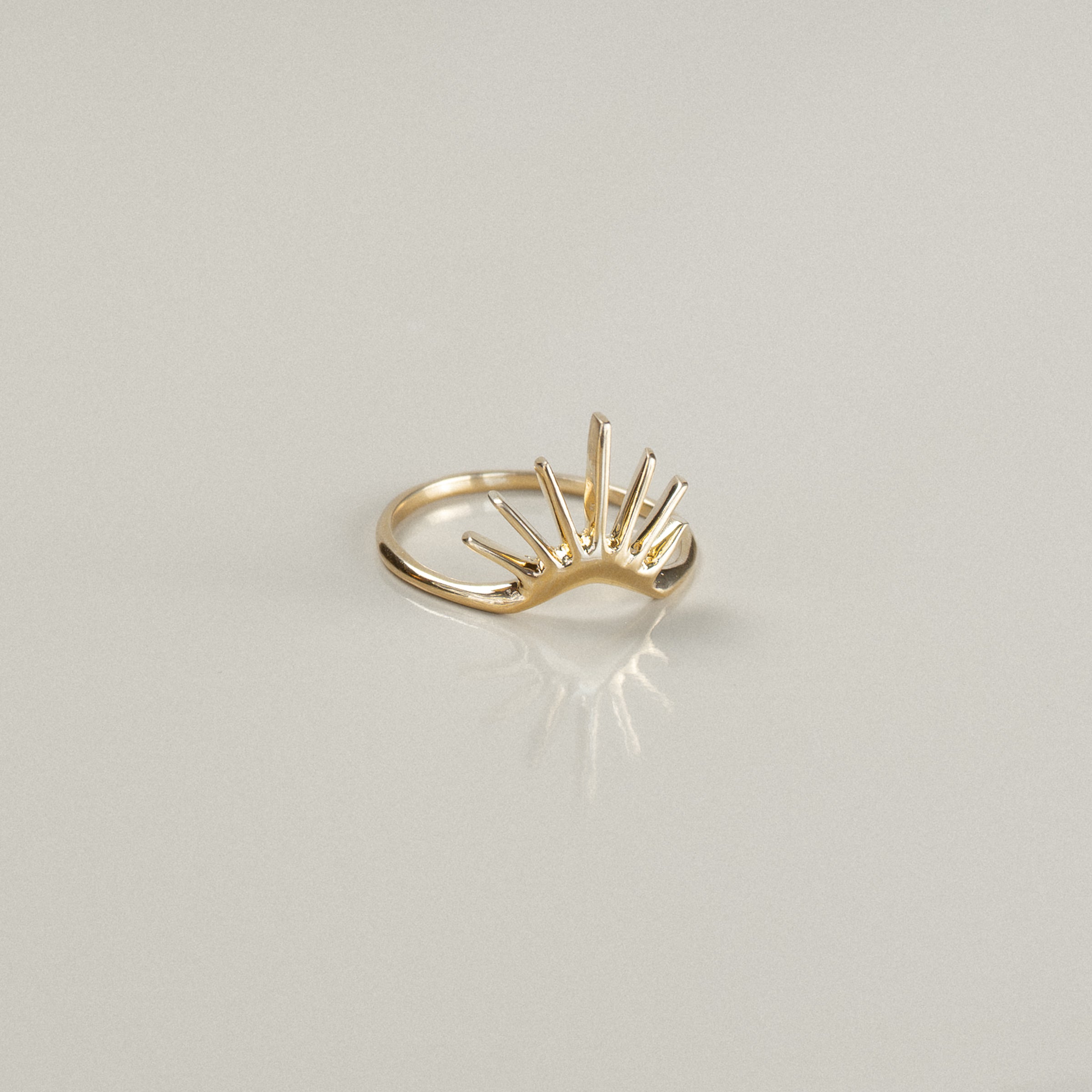The Horizon Ring