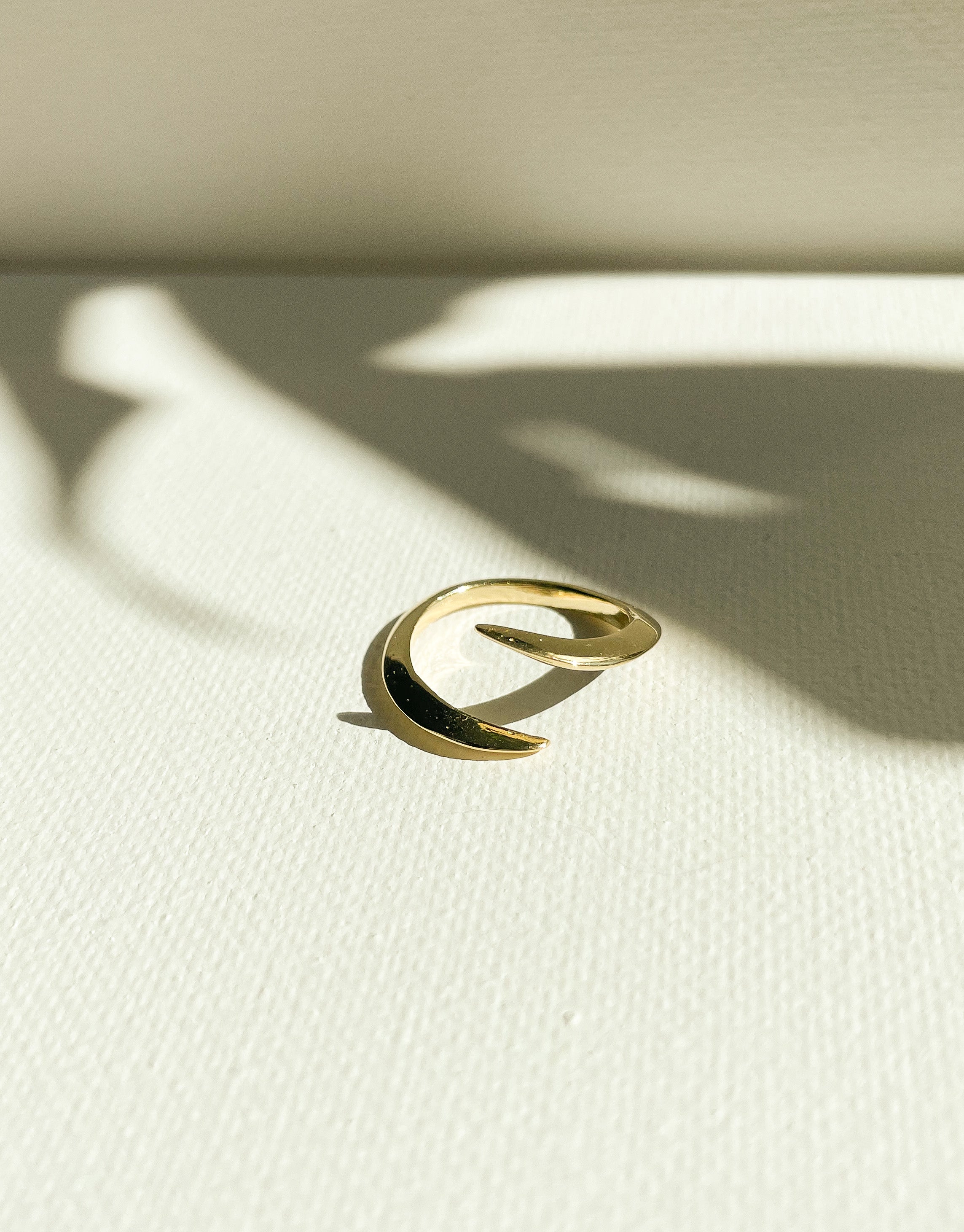 The Coil Ring